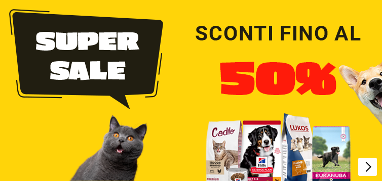 Super Sale HP IT